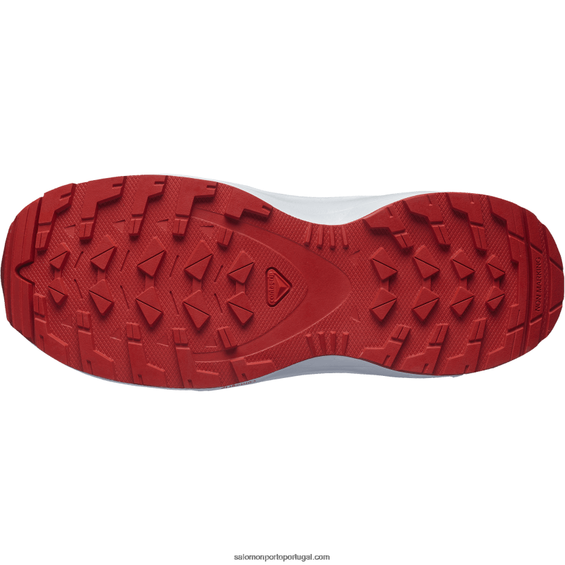 Salomon júnior - sapatos infantis - xa pro v8 04D6V81357 tempo tempestuoso/azul zen/goji berry