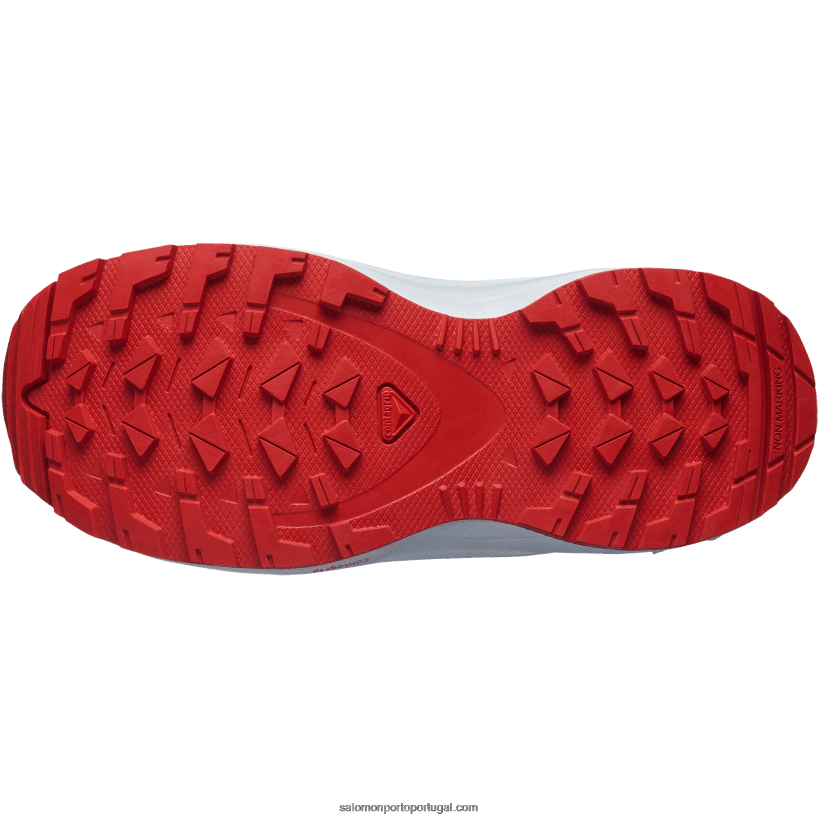 Salomon júnior - sapatos infantis - xa pro v8 04D6V81363 tempo tempestuoso/azul zen/goji berry