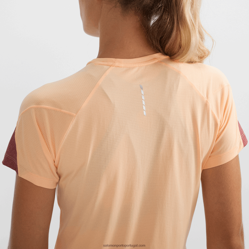 Salomon t-shirt de manga curta para mulher - cross run 04D6V8891 gelo de damasco/urze/cabernet